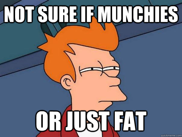 Not sure if munchies Or just fat  Futurama Fry