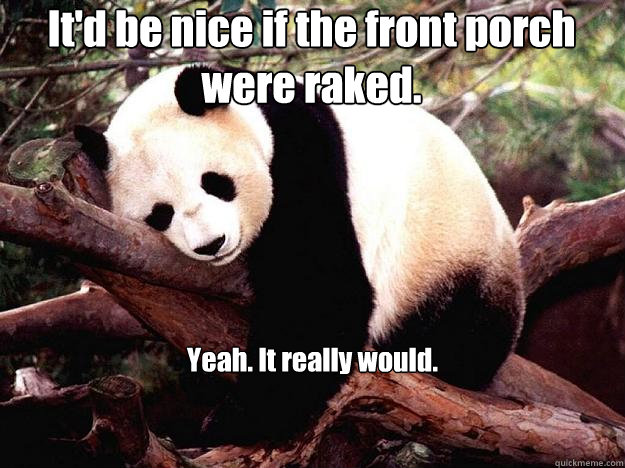 It'd be nice if the front porch were raked. Yeah. It really would.  Procrastination Panda