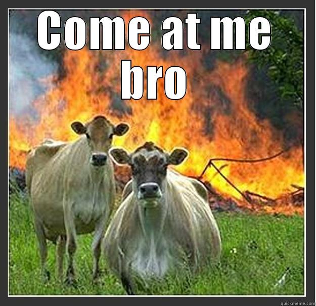 Come at me meme - COME AT ME BRO  Evil cows