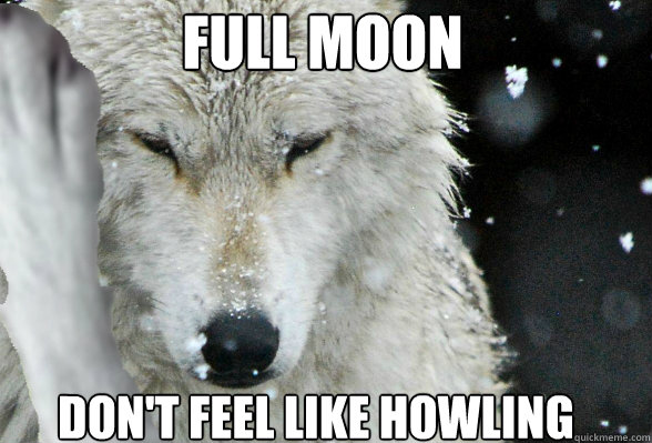 FULL MOON DON'T FEEL LIKE HOWLING  First Wolf Problems