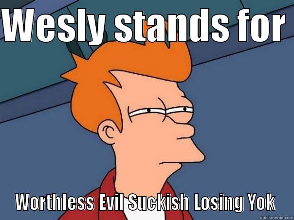 WESLY STANDS FOR  WORTHLESS EVIL SUCKISH LOSING YOK Futurama Fry