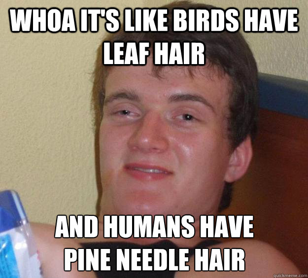 whoa it's like birds have leaf hair and humans have 
pine needle hair  10 Guy