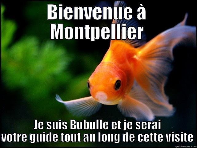 BIENVENUE À MONTPELLIER JE SUIS BUBULLE ET JE SERAI VOTRE GUIDE TOUT AU LONG DE CETTE VISITE Misc