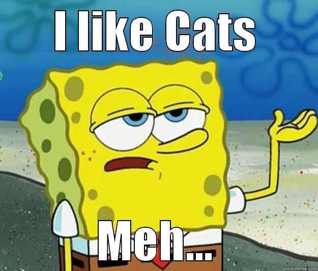 I like cats , Meh... - I LIKE CATS MEH... Tough Spongebob