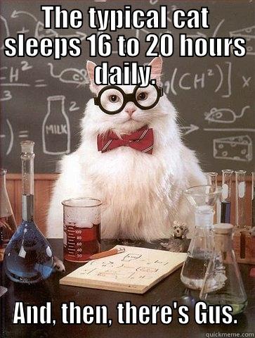 THE TYPICAL CAT SLEEPS 16 TO 20 HOURS DAILY. AND, THEN, THERE'S GUS. Chemistry Cat