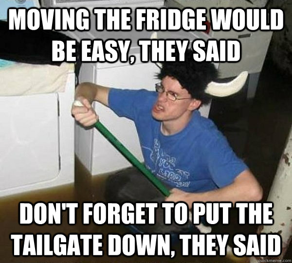 Moving the fridge would be easy, they said Don't forget to put the tailgate down, they said - Moving the fridge would be easy, they said Don't forget to put the tailgate down, they said  They said