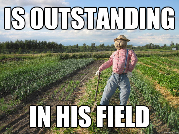 is outstanding in his field  