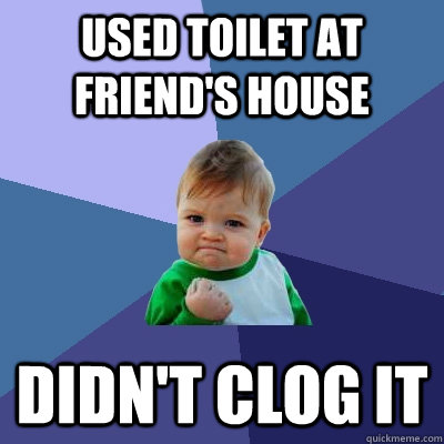 Used toilet at friend's house Didn't clog it  Success Kid