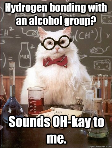 Hydrogen bonding with an alcohol group? Sounds OH-kay to me. - Hydrogen bonding with an alcohol group? Sounds OH-kay to me.  Chemistry Cat