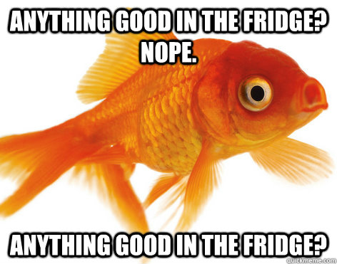 Anything good in the fridge? Nope. Anything good in the fridge?  Forgetful Fish