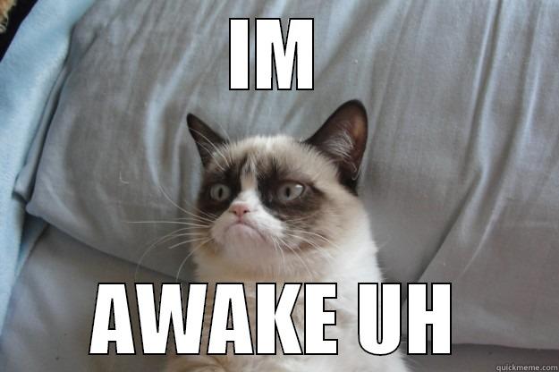 IM AWAKE UH Grumpy Cat