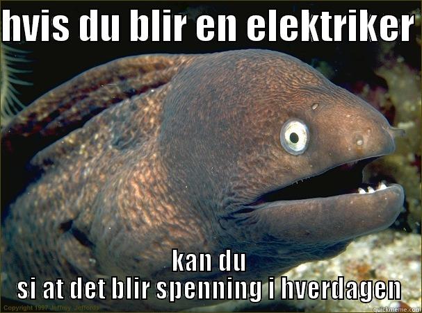 HVIS DU BLIR EN ELEKTRIKER  KAN DU SI AT DET BLIR SPENNING I HVERDAGEN Bad Joke Eel