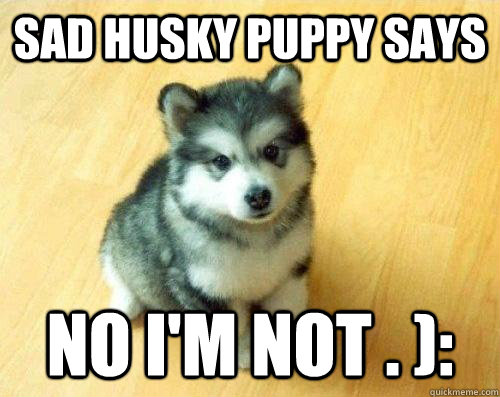 Sad Husky Puppy Says No I'm Not . ):  Baby Courage Wolf