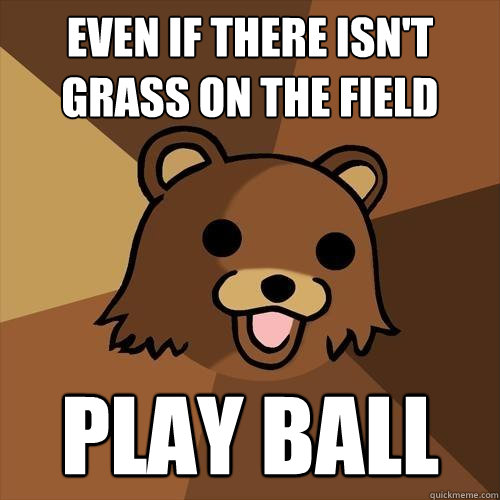 even if there isn't grass on the field play ball  Pedobear