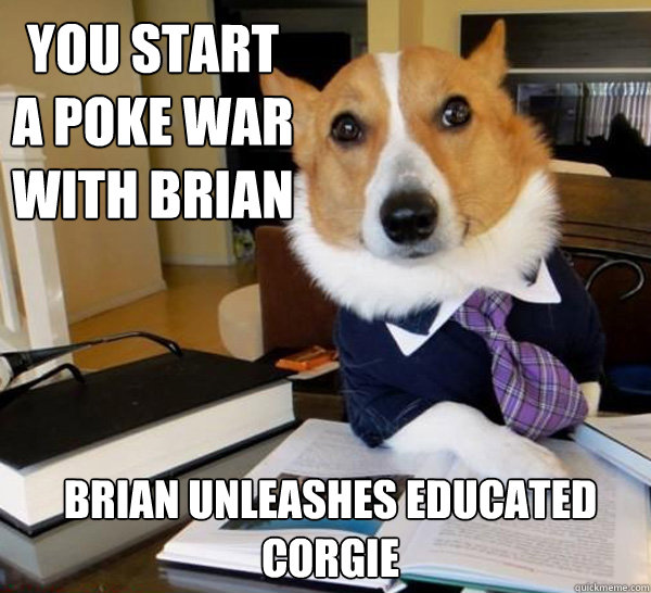 You start a POKE war with Brian  Brian Unleashes educated corgie  Lawyer Dog