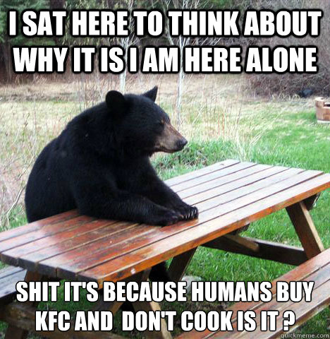 i sat here to think about why it is i am here alone shit it's because humans buy kfc and  don't cook is it ?  waiting bear