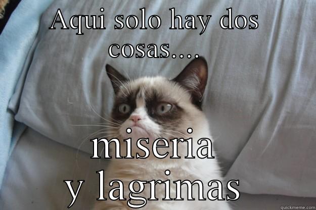 La Miseria - AQUI SOLO HAY DOS COSAS.... MISERIA Y LAGRIMAS Grumpy Cat