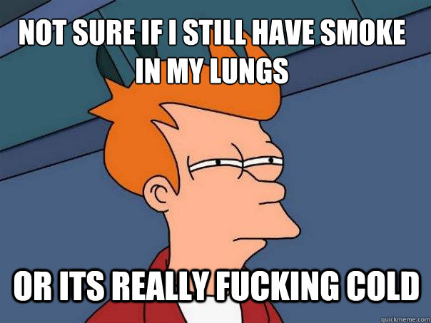 Not sure if I still have smoke in my lungs or its really fucking cold  Futurama Fry