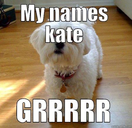 MY NAMES KATE GRRRRR Misc