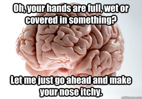 Oh, your hands are full, wet or covered in something? Let me just go ahead and make your nose itchy.  Scumbag Brain