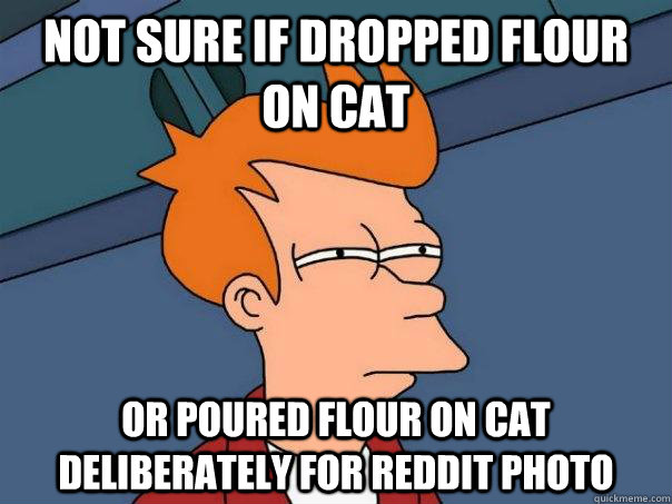 Not sure if dropped flour on cat Or poured flour on cat deliberately for reddit photo  Futurama Fry