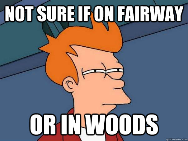 not sure if on fairway or in woods  Futurama Fry