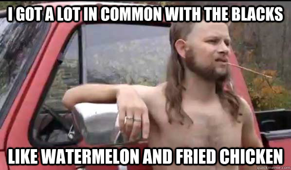 i got a lot in common with the blacks like watermelon and fried chicken  Almost Politically Correct Redneck