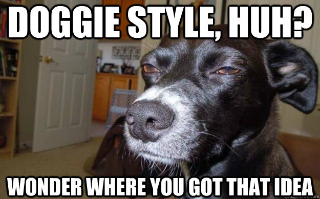 doggie style, huh? wonder where you got that idea  Skeptical Mutt