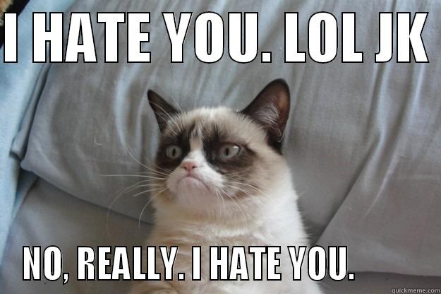 I HATE YOU. LOL JK  NO, REALLY. I HATE YOU.          Grumpy Cat