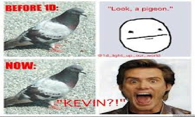    kevin the pigeon