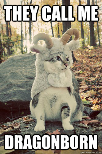 they call me dragonborn - they call me dragonborn  dragonborn cat