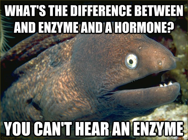 What's the difference between and enzyme and a hormone? You can't hear an enzyme  Bad Joke Eel