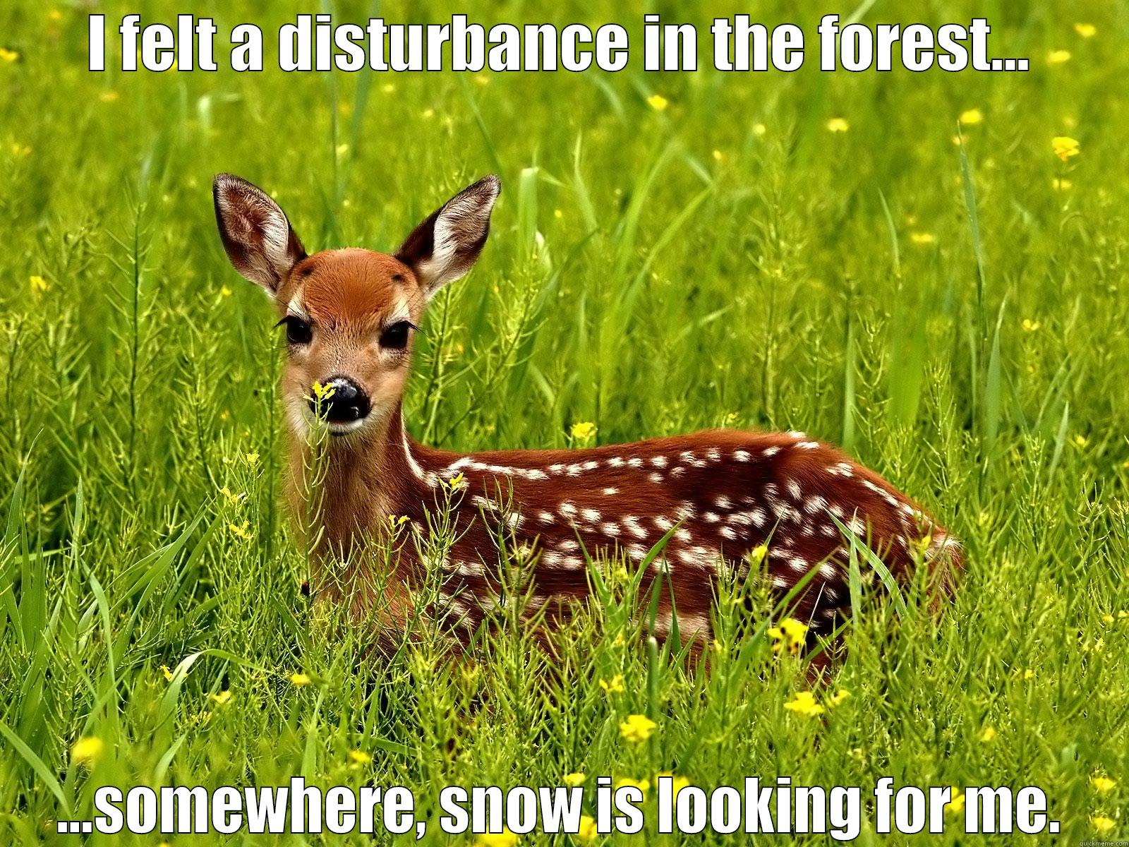 I FELT A DISTURBANCE IN THE FOREST... ...SOMEWHERE, SNOW IS LOOKING FOR ME. Misc