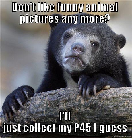 DON'T LIKE FUNNY ANIMAL PICTURES ANY MORE? I'LL JUST COLLECT MY P45 I GUESS Confession Bear