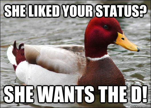 she liked your status? she wants the d!  Malicious Advice Mallard