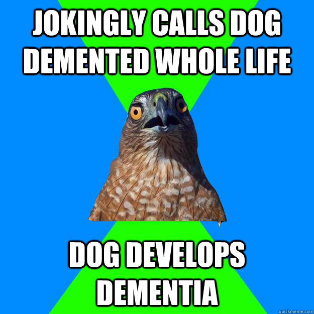 jokingly calls dog demented whole life dog develops dementia   Hawkward