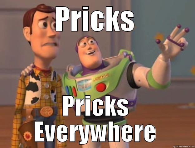 PRICKS PRICKS EVERYWHERE Toy Story