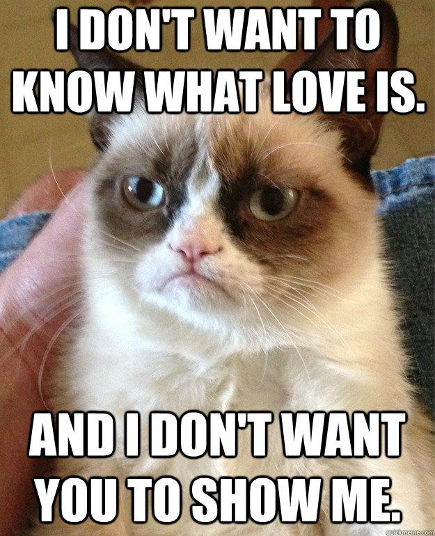 i don't want to know what love is. And i don't want you to show me.  Grumpy Cat