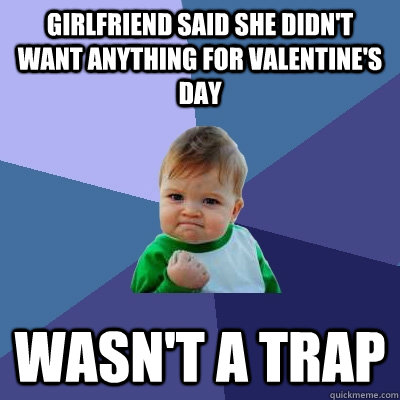 girlfriend said she didn't want anything for valentine's day wasn't a trap  Success Kid