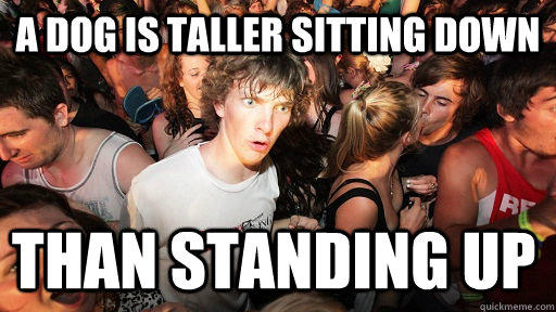 A dog is taller sitting down  than standing up  