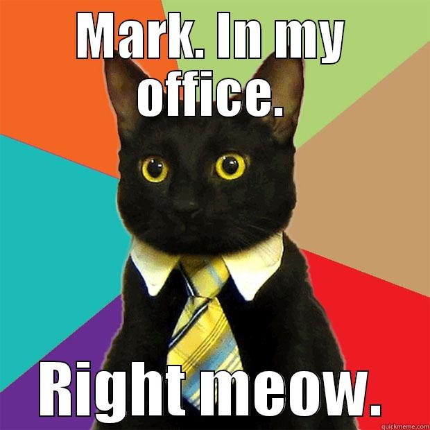 MARK. IN MY OFFICE. RIGHT MEOW. Business Cat