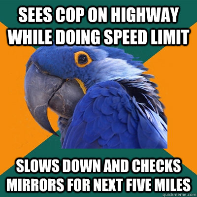 sees cop on highway while doing speed limit slows down and checks mirrors for next five miles - sees cop on highway while doing speed limit slows down and checks mirrors for next five miles  Paranoid Parrot