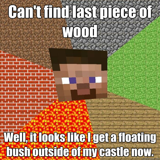 Can't find last piece of wood Well, it looks like I get a floating bush outside of my castle now.  Minecraft