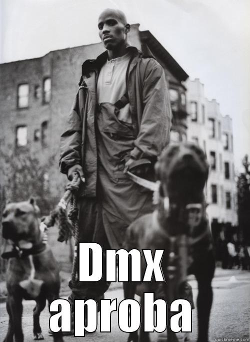 Dmx and Dogs -  DMX APROBA Misc