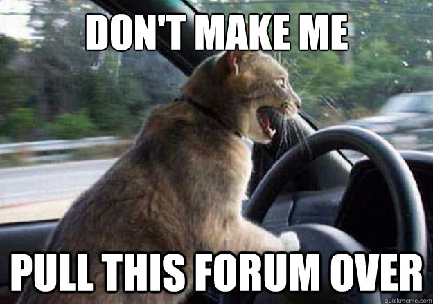 don't make me  pull this forum over - don't make me  pull this forum over  cat driving