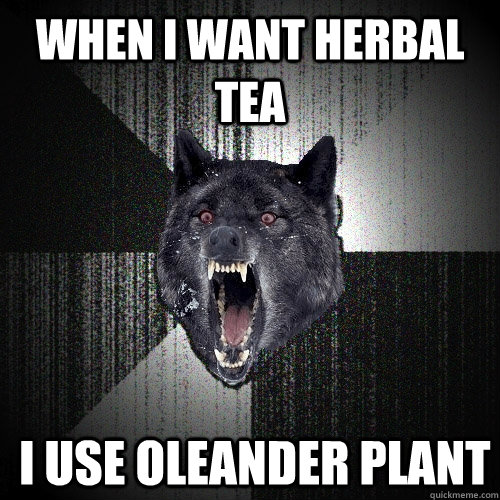 when I want herbal tea  I use Oleander plant  Insanity Wolf