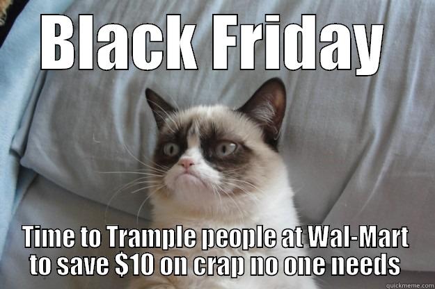 Black Friday Success - BLACK FRIDAY TIME TO TRAMPLE PEOPLE AT WAL-MART TO SAVE $10 ON CRAP NO ONE NEEDS Grumpy Cat