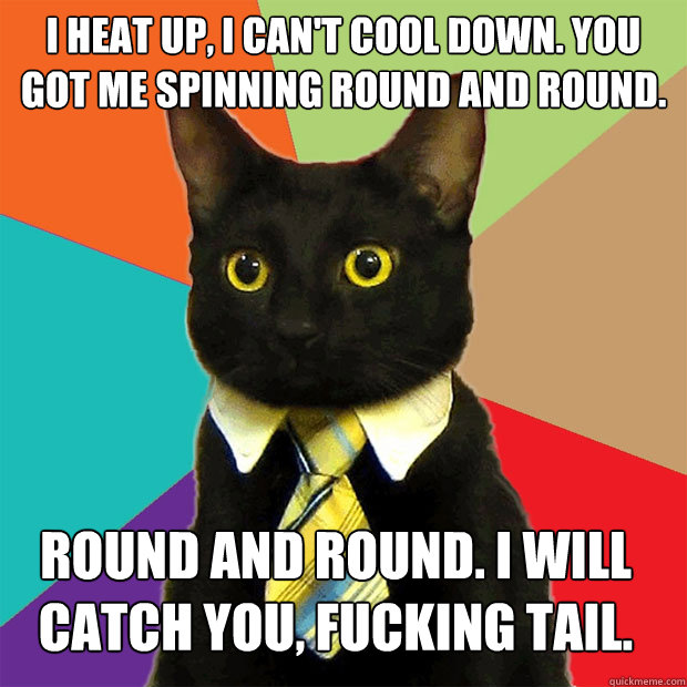 I heat up, I can't cool down. You got me spinning round and round. Round and round. I will catch you, fucking tail. - I heat up, I can't cool down. You got me spinning round and round. Round and round. I will catch you, fucking tail.  Business Cat