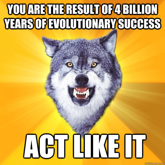 you are the result of 4 billion years of evolutionary success  act like it - you are the result of 4 billion years of evolutionary success  act like it  Courage Wolf