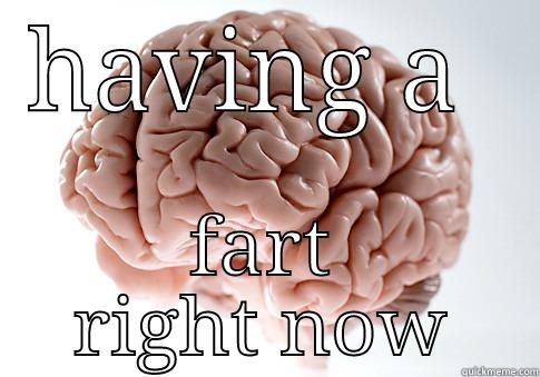 out of order - HAVING A  FART RIGHT NOW Scumbag Brain